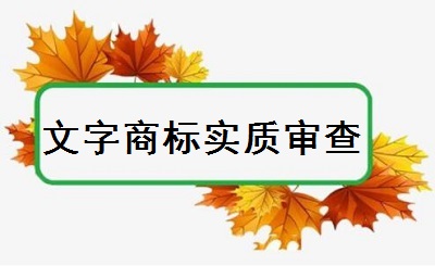 文字商標(biāo)實(shí)質(zhì)審查