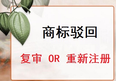 商標(biāo)駁回復(fù)審還是重新申請